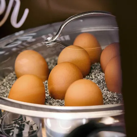 B&B Hotel Ludwigshafen 3*