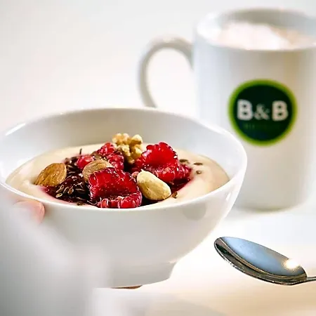 B&B Hotel Ludwigshafen Hotel 3*